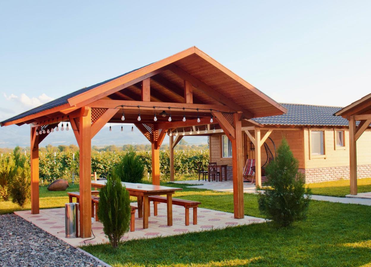 Finca Idoize Camping Hotel Akhmeta Extérieur photo