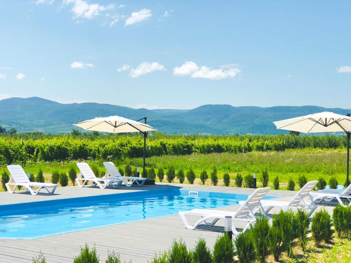Finca Idoize Camping Hotel Akhmeta Extérieur photo